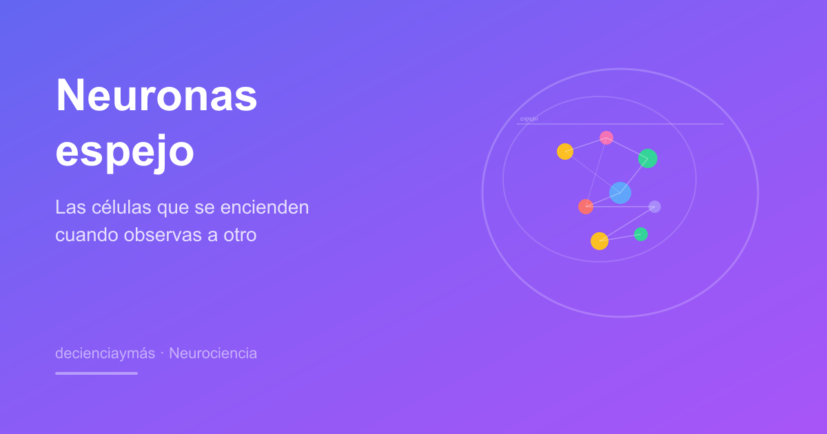 Neuronas espejo: las células que se encienden cuando observas a otro ser humano